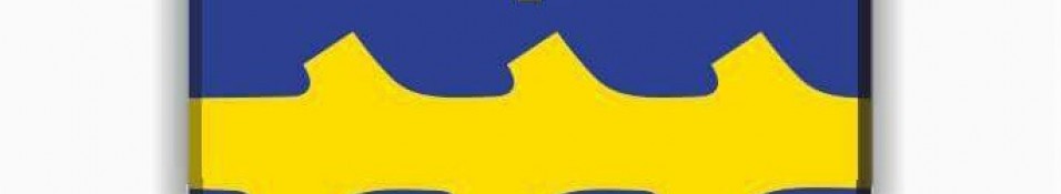 Primary Raster logo